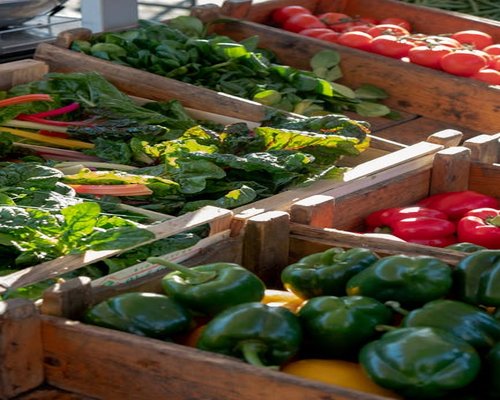 Fresh organic vegetables at a local French market